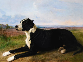 Porträtt av en labrador mastiff i ett landskap - Rosa Bonheur — vy av konstverket
