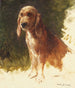 Studie av en hund - Rosa Bonheur — vy av konstverket