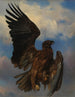 L'aigle blessé - Rosa Bonheur — vy av konstverket