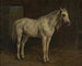 den vita hästen - Rosa Bonheur — vy av konstverket
