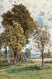 Contemplation - Rose Emily Stanton — vy av konstverket