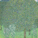 Roser under träden - Gustav Klimt — vy av konstverket
