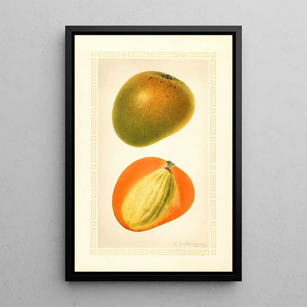 Mangifera indica Baboony - Royal Charles Steadman - Royal Charles Steadman — inramlat konstverk på väggen