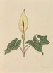 Bok av blommor - Rudolf Koch — vy av konstverket