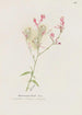Gaura - S Fred Prince — vy av konstverket