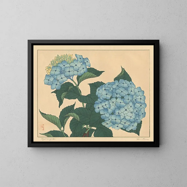 Hortensia - Sakai Hōitsu — inramlat konstverk på väggen