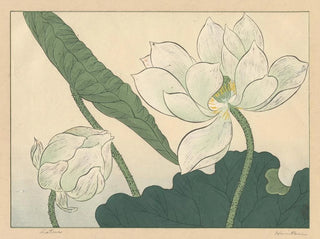 Lotus - Sakai Hōitsu — vy av konstverket