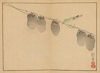 Sakai Hoitsu, blom- och fågelmålning, Pl. 13 - Sakai Hōitsu — vy av konstverket
