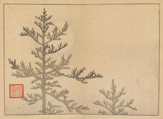 Sakai Hoitsu - Sakai Hoitsu gajo Pl16.webp