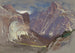 Half Dome och Royal Arches, Yosemite från Glacier Point - Samuel Colman — vy av konstverket