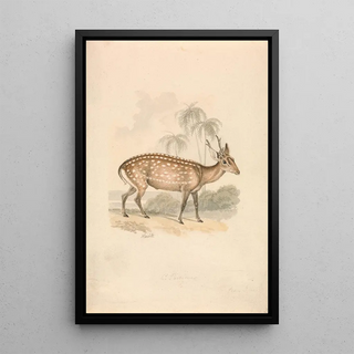 Samuel Howitt - Hog Deer.webp