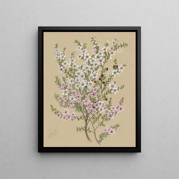 Sarah Featon - Manuka.webp