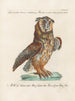 Ornithologie metodiskt bearbetad Pl083 - Saverio Manetti — vy av konstverket