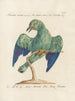 Ornithologie metodiskt bearbetad Pl159 - Saverio Manetti — vy av konstverket