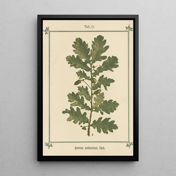 Sebastian Kneipp - Plantatlas to My watercure Pl22.webp