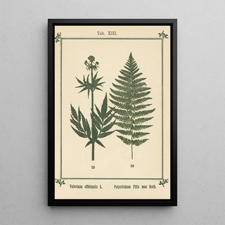 Sebastian Kneipp - Plantatlas to My watercure Pl33.webp