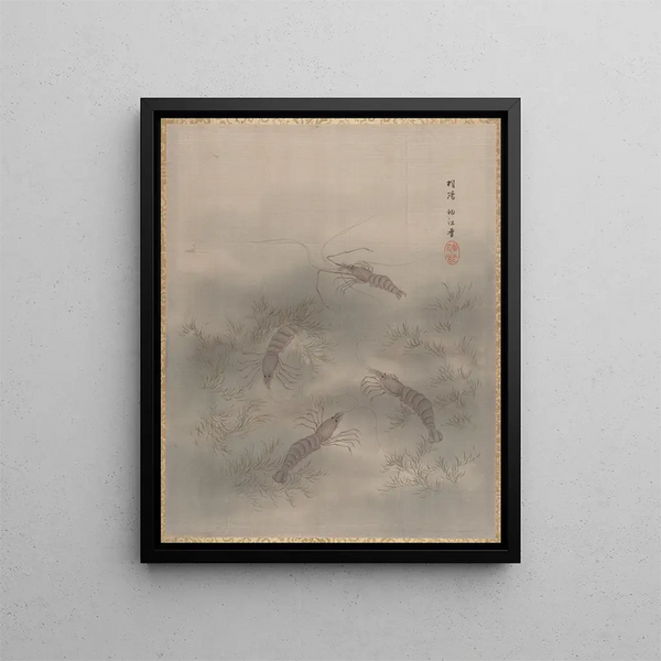 Seki Shk - Shrimp Ebi.webp
