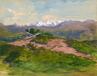Serafin Maurer - Wanderweg in den Bergen mit Blick auf die Zillertaler Alpen.webp
