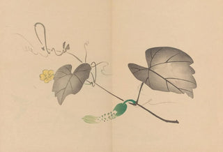 Shibata Zeshin - Zeshin iboku tairyukyo gafu Pl04.webp