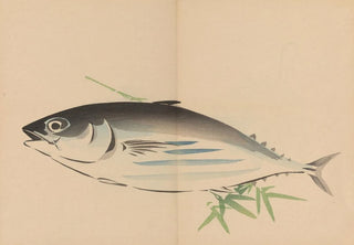 Shibata Zeshin - Zeshin iboku tairyukyo gafu Pl05.webp