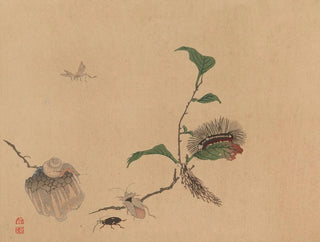 Chuka senzen PL05 - Shunkei Mori — vy av konstverket