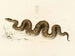 Python natalensis - Sir Andrew Smith — vy av konstverket