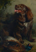 En Sussex-spaniel och en fasan - Sir Edwin Henry Landseer — vy av konstverket