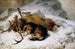 Chevy - Sir Edwin Henry Landseer — vy av konstverket