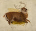 döende hjort - Sir Edwin Henry Landseer — vy av konstverket