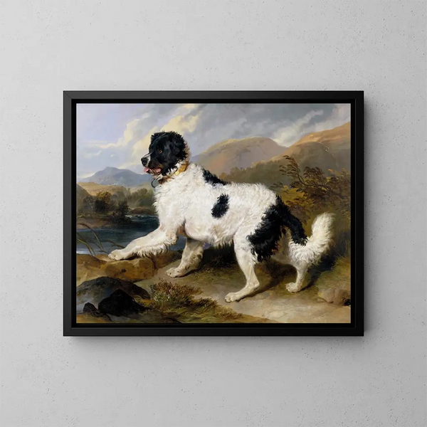 Lion, en Newfoundland-hund - Sir Edwin Henry Landseer — inramlat konstverk på väggen