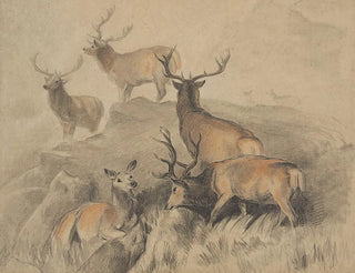 Sir Edwin Henry Landseer - Some of the best harts in the forest.webp