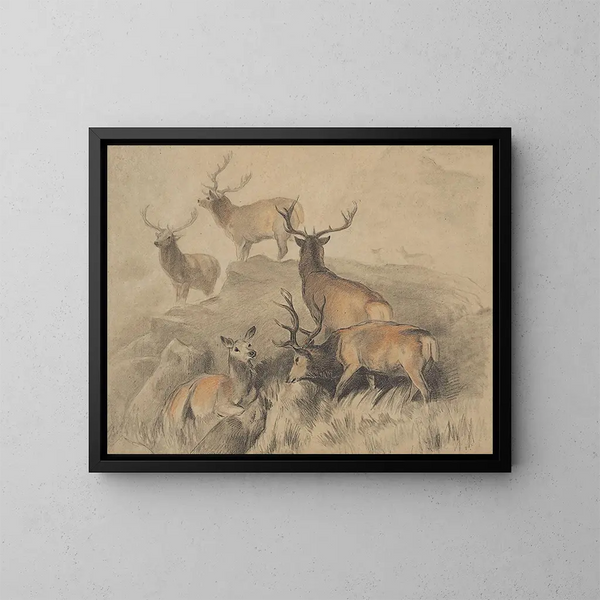 Vissa av de vackraste hjortarna i skogen - Sir Edwin Henry Landseer — inramlat konstverk på väggen