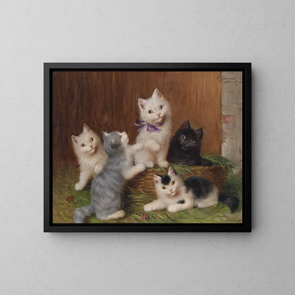 Kattungar - Sophie Sperlich — inramlat konstverk på väggen