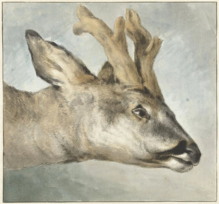Tête de chevreuil - Wybrand Hendriks