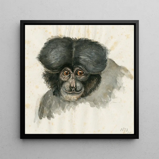 Tête de singe - Floris Verster