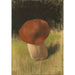 Reproduktion av målningen The Mushroom - Franz von Stuck