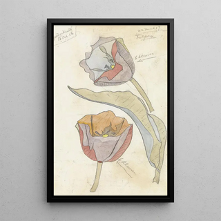 Theo Colenbrander - Tulpen.webp