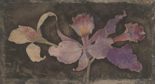 Theo Nieuwenhuis - Paarse orchidee.webp