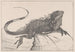 Lézard sur une pierre dans l'eau - Theo van Hoytema — vy av konstverket