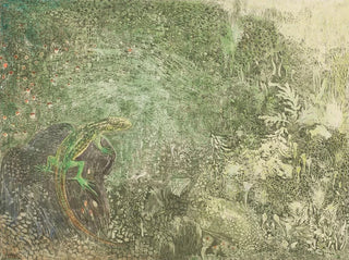 Theo van Hoytema - Lizard On A Stone.webp