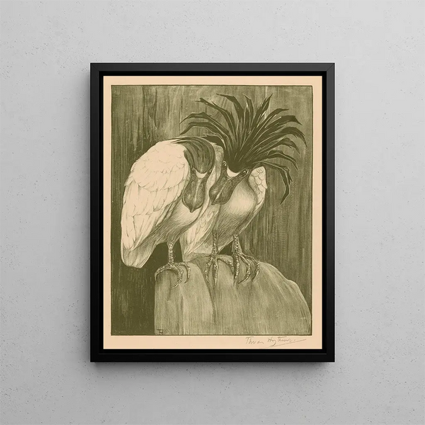 Theo van Hoytema - Twee schuitbekreigers.webp