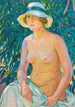 Nu i Panama - Theo van Rysselberghe — vy av konstverket