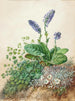 alpina blommor - Theodor Petter — vy av konstverket