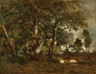 Thodore Rousseau - Forest of Fontainebleau Cluster of Tall Trees Overlooking the Plain of ClairBois at the Edge of Ba.webp