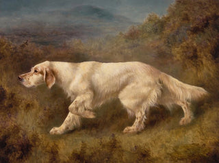 Ned de Mallwyd - Thomas Blinks — vy av konstverket