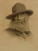 Walt Whitman - Thomas Wilmer Dewing — vy av konstverket