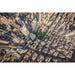 Fotoutskrift av New York - The Big Apple som du aldrig har sett den