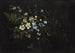 Bouquet de fleurs et fougères - Titian Ramsay Peale — vy av konstverket
