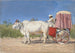 Carrosse för Delhi - Vasily Vereshchagin — vy av konstverket