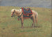 Poneys himalayens - Vasily Vereshchagin — vy av konstverket